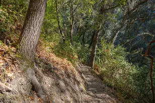 500 Endlich Dr, Santa Cruz, CA 95060 - Photo 63