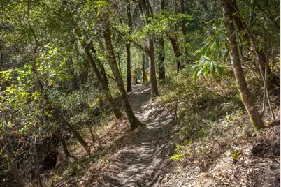 500 Endlich Dr, Santa Cruz, CA 95060 - Photo 59
