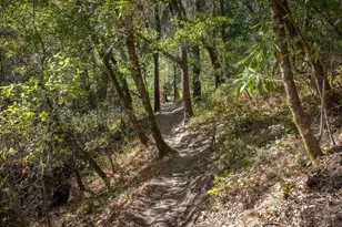 500 Endlich Dr, Santa Cruz, CA 95060 - Photo 59