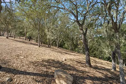 8351 Winter Green Ct, Gilroy, CA 95020 - Photo 7