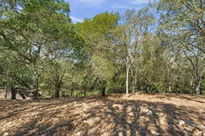 8351 Winter Green Ct, Gilroy, CA 95020 - Photo 9
