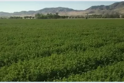 0 Panoche Rd, Paicines, CA 95043 - Photo 1