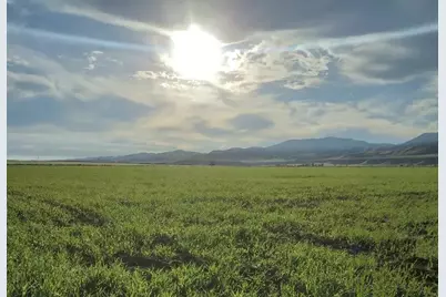 0 Panoche Rd, Paicines, CA 95043 - Photo 5