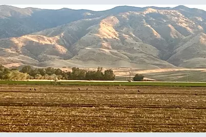 0 Panoche Rd, Paicines, CA 95043 - Photo 13