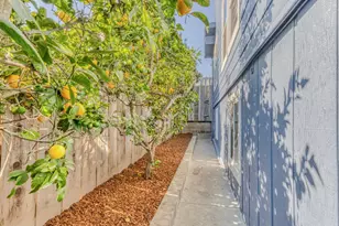 953 W Franklin St, Monterey, CA 93940 - Photo 39