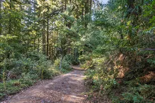 700 Laurel View Rd, Los Gatos, CA 95033 - Photo 31