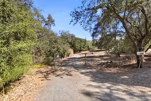 388 Albion Ave, Woodside, CA 94062 - Photo 11