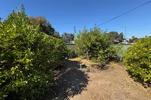 5008 Leigh Ave, San Jose, CA 95124 - Photo 59