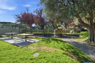 815 N Humboldt St 304, San Mateo, CA 94401 - Photo 11