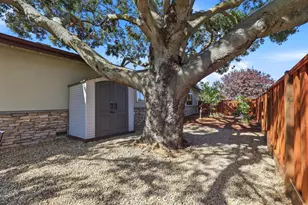 740 Spencer Ct, Los Altos, CA 94024 - Photo 57