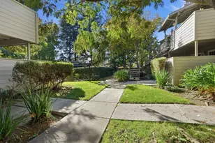 3833 Panda Dr, San Jose, CA 95117 - Photo 31