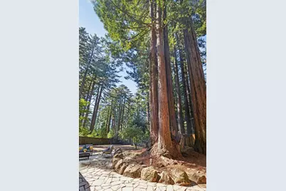 13660 Skyline Blvd, Woodside, CA 94062 - Photo 31