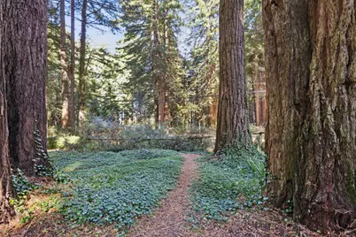13660 Skyline Blvd, Woodside, CA 94062 - Photo 29