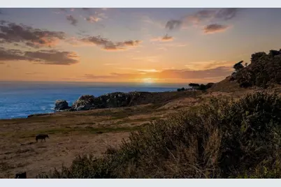 37315 Palo Colorado Rd, Carmel, CA 93923 - Photo 51