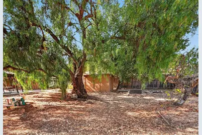 10590 San Leandro Ave, Cupertino, CA 95014 - Photo 23