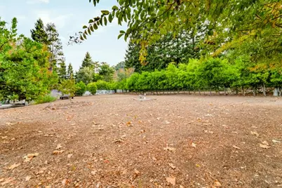 16260 Paradise Valley Ln, Morgan Hill, CA 95037 - Photo 39