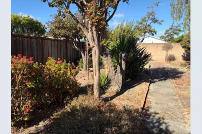 37234 Birch St, Newark, CA 94560 - Photo 11