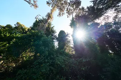 " Carmel Way, Pebble Beach, CA 93953 - Photo 13