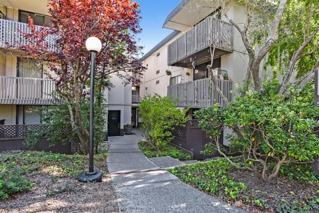 1123 Shelter Creek Ln, San Bruno, CA 94066 MLS ML81889766 Coldwell