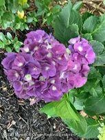 1759 Todd, Toms River NJ 08755-2128 exterior