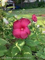 1759 Todd, Toms River NJ 08755-2128 exterior