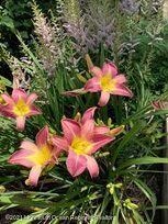 1759 Todd, Toms River NJ 08755-2128 exterior