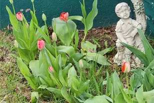 936 Walton Ave, Dayton, OH 45402 - Photo 21