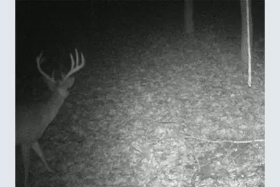 3525 Starling Road, Tate Township, OH 45106 - Photo 19