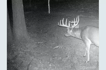 3525 Starling Road, Tate Township, OH 45106 - Photo 11