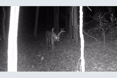 3525 Starling Road, Tate Township, OH 45106 - Photo 21