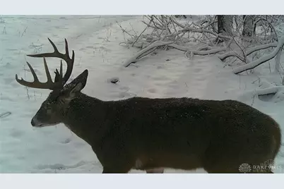 3525 Starling Road, Tate Township, OH 45106 - Photo 9