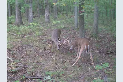 3525 Starling Road, Tate Township, OH 45106 - Photo 15