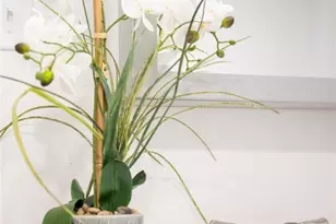 210 W Spring St, Eaton, OH 45320 - Photo 29