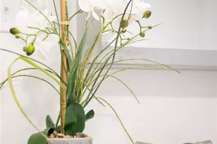 210 W Spring St, Eaton, OH 45320 - Photo 29