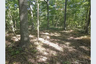 16 Black Hollow Road, Peebles, OH 45660 - Photo 25