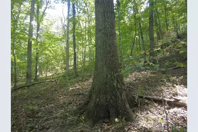 16 Black Hollow Road, Peebles, OH 45660 - Photo 9