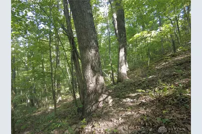 16 Black Hollow Road, Peebles, OH 45660 - Photo 11