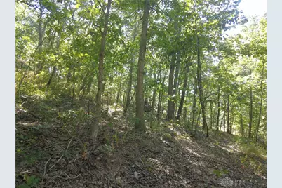 16 Black Hollow Road, Peebles, OH 45660 - Photo 13