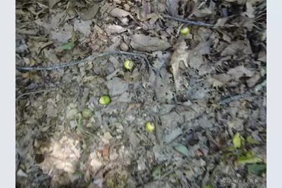 16 Black Hollow Road, Peebles, OH 45660 - Photo 15