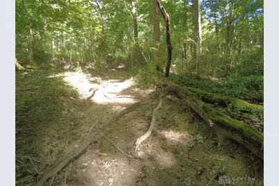 16 Black Hollow Road, Peebles, OH 45660 - Photo 3