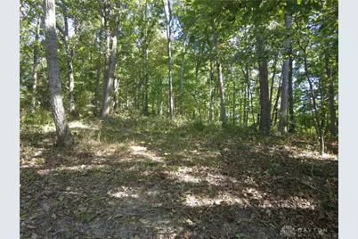 16 Black Hollow Road, Peebles, OH 45660 - Photo 21