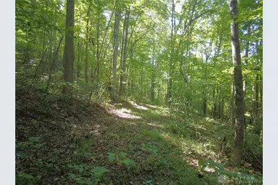 16 Black Hollow Road, Peebles, OH 45660 - Photo 7