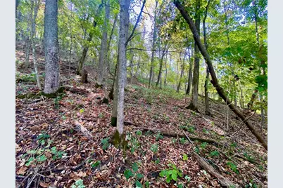 6.15 Ac Eagle Creek Road, Ripley, OH 45167 - Photo 7