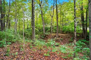 2584 Greenbrier Ct, Beavercreek, OH 45431 - Photo 73