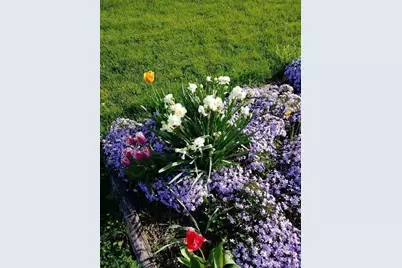 250 Chamberlain Road, Franklin, OH 45005 - Photo 3