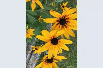 1054 Wilhelmina Drive, Vandalia, OH 45377 - Photo 41