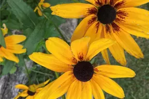 1054 Wilhelmina Dr, Vandalia, OH 45377 - Photo 41