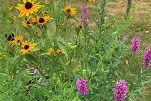 1054 Wilhelmina Dr, Vandalia, OH 45377 - Photo 47