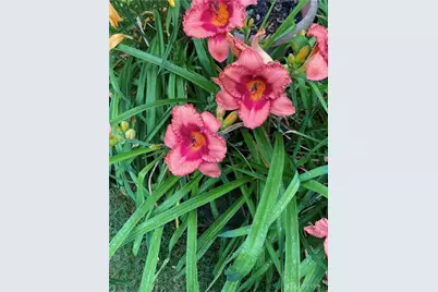 1054 Wilhelmina Drive, Vandalia, OH 45377 - Photo 43