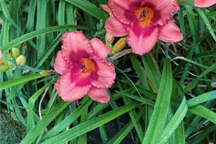 1054 Wilhelmina Dr, Vandalia, OH 45377 - Photo 43